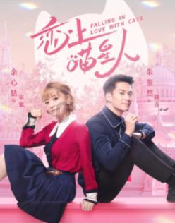 公主的华丽晚宴