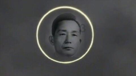 掘地挖宝